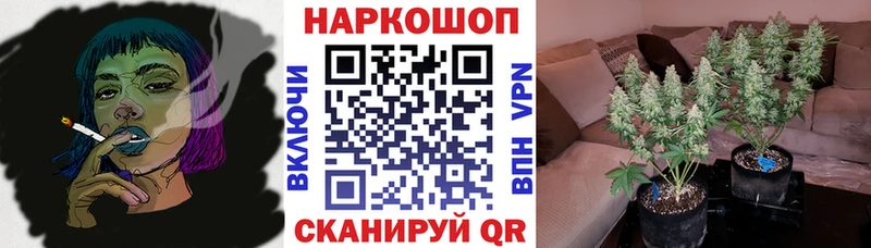 Наркошоп купить БУТИРАТ  Меф  Галлюциногенные грибы  Гашиш  МАРИХУАНА  Качканар